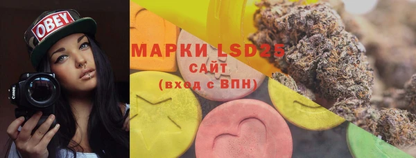 шишки Бородино