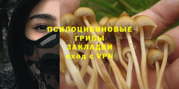 дмт Бугульма