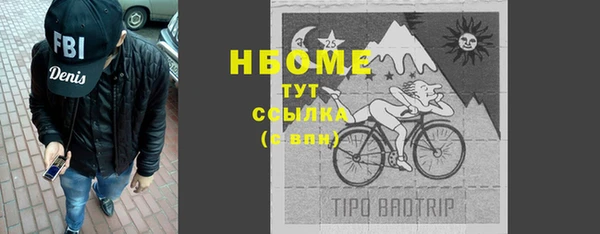 шишки Бородино