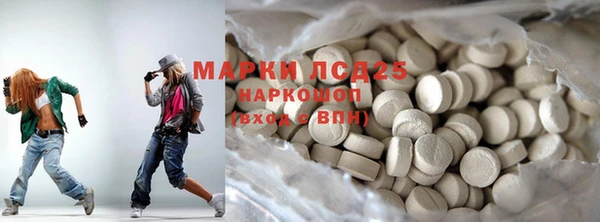 шишки Бородино