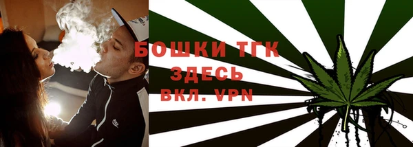 шишки Бородино
