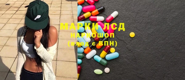 шишки Бородино