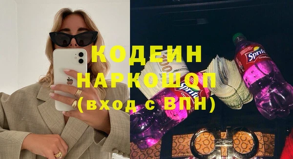шишки Бородино