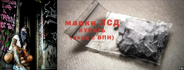шишки Бородино