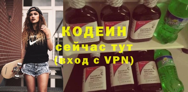 шишки Бородино