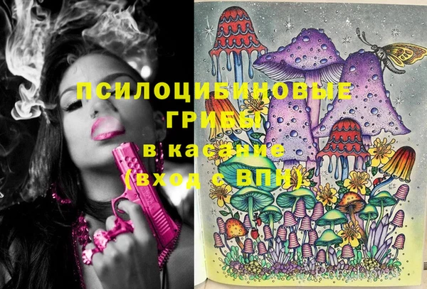 дмт Бугульма