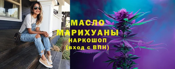 шишки Бородино