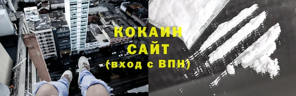 шишки Бородино