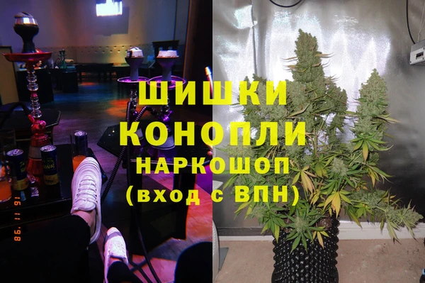 шишки Бородино