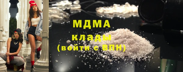 шишки Бородино