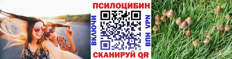 Купить закладки  Краснокамск  Галлюциногенные грибы GOLDEN TEACHER 